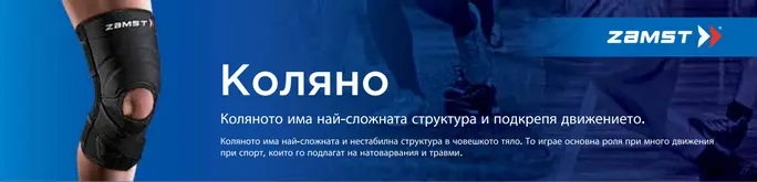 коляно